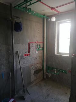 石中玉_8212